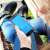 How Technology Simplifies Compliance and Regulatory Tasks